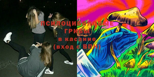 СК Вязьма