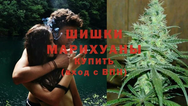 СК Вязьма