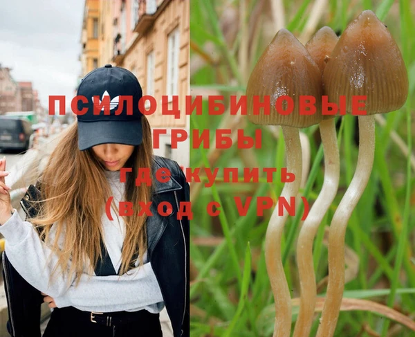 jwh Вяземский
