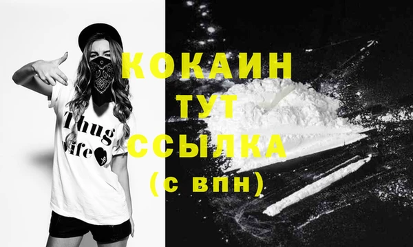 СК Вязьма