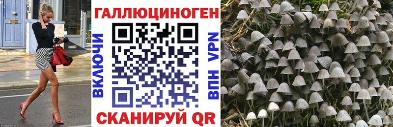 цена   это как зайти  Псилоцибиновые грибы Cubensis  Артём 