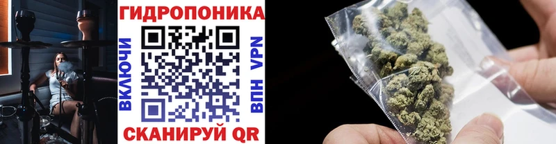 Каннабис Amnesia Артём